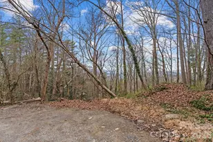 355 Sunset Dr, Asheville, NC 28804 - Photo 10