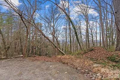 355 Sunset Drive, Asheville, NC 28804 - Photo 6