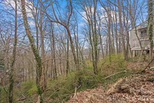 355 Sunset Dr, Asheville, NC 28804 - Photo 40