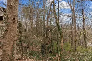 355 Sunset Dr, Asheville, NC 28804 - Photo 36