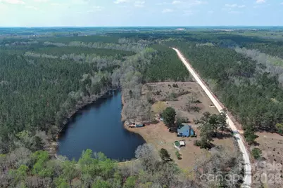 819 Triple Creek Road, Mount Croghan, SC 29727 - Photo 2