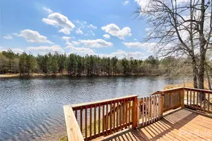 819 Triple Creek Rd, Mount Croghan, SC 29727 - Photo 8