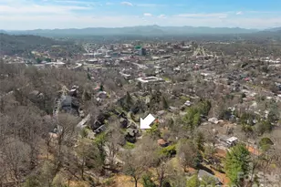 29 Shady Park Ln, Asheville, NC 28804 - Photo 4