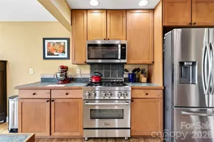 316 Wilson Ave, Swannanoa, NC 28778 - Photo 18