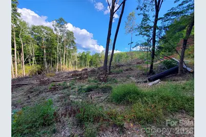 Lot 28 Parkwood Hill Road, Spruce Pine, NC 28777 - Photo 8