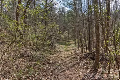 37 Creekside View Drive, Asheville, NC 28804 - Photo 42