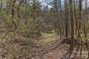 37 Creekside View Dr, Asheville, NC 28804 - Photo 42