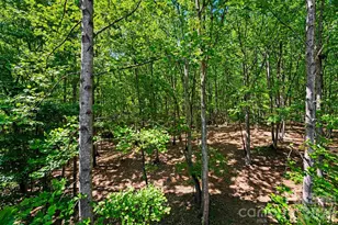 146 Harbor Watch Dr N, Statesville, NC 28677 - Photo 34