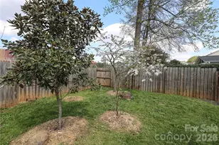 9506 Scotland Hall Ct, Charlotte, NC 28277 - Photo 38