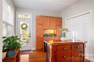 68 S Inglenook Ln, Flat Rock, NC 28731 - Photo 20