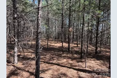 00 Hope Drive, Rutherfordton, NC 28139 - Photo 6