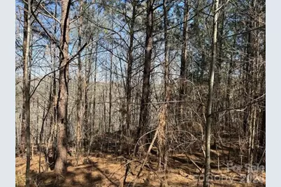 00 Hope Drive, Rutherfordton, NC 28139 - Photo 12