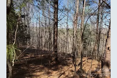 00 Hope Drive, Rutherfordton, NC 28139 - Photo 8