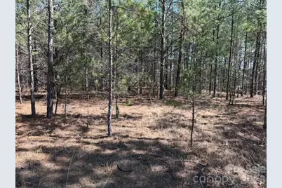 00 Hope Drive, Rutherfordton, NC 28139 - Photo 4