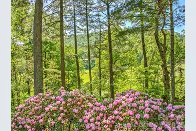 200 Robinhood Road, Asheville, NC 28804 - Photo 4