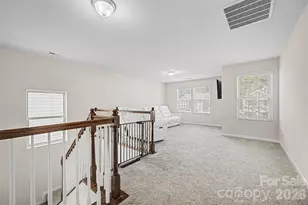 15234 Red Canoe Way, Charlotte, NC 28278 - Photo 18