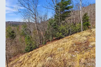 367 Curtain Bluff, Hendersonville, NC 28791 - Photo 12