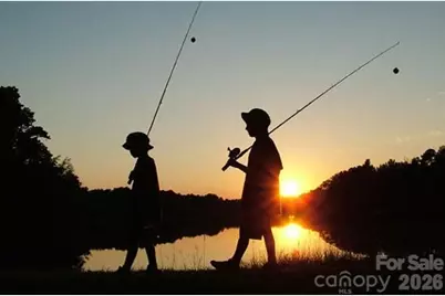 000 Shagbark Court #1049, Mount Gilead, NC 27306 - Photo 12