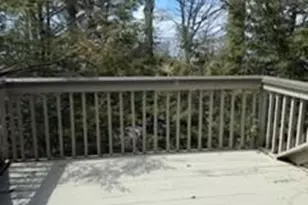 19 Lookout Loop, Burnsville, NC 28714 - Photo 28