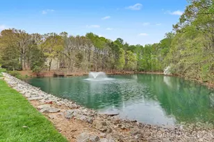 10106 Fairway Ridge Rd, Charlotte, NC 28277 - Photo 42