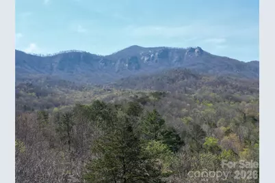 145 White Pine Drive, Lake Lure, NC 28746 - Photo 4