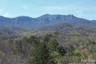 145 White Pine Dr, Lake Lure, NC 28746 - Photo 4