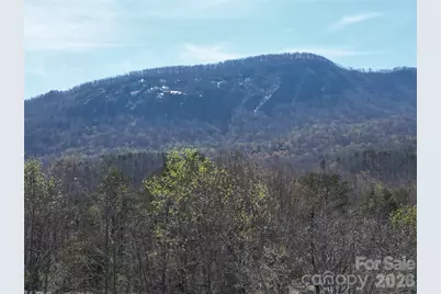 145 White Pine Drive, Lake Lure, NC 28746 - Photo 36