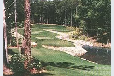 000 Shagbark Court #1050, Mount Gilead, NC 27306 - Photo 6