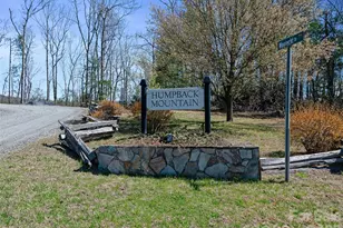 111 Wipprecht Dr, Spruce Pine, NC 28777 - Photo 48