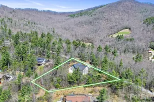 111 Wipprecht Dr, Spruce Pine, NC 28777 - Photo 46