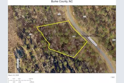 2115 Castle Peak Mountain #146, Connelly Springs, NC 28612 - Photo 1