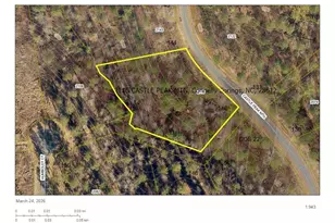 2115 Castle Peak Mountain None, Connelly Springs, NC 28612 - Photo 1