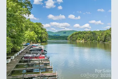 3244 Lake Adger Parkway, Mill Spring, NC 28756 - Photo 38