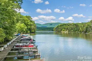 3244 Lake Adger Pkwy, Mill Spring, NC 28756 - Photo 38