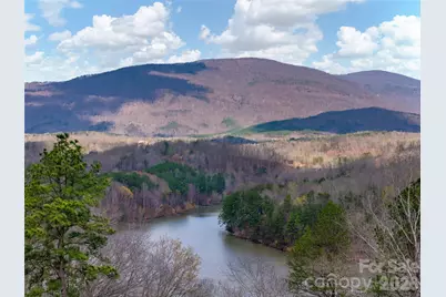 3244 Lake Adger Parkway, Mill Spring, NC 28756 - Photo 2
