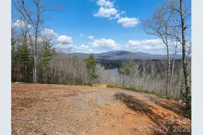 3244 Lake Adger Parkway, Mill Spring, NC 28756 - Photo 34