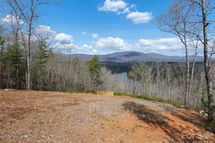 3244 Lake Adger Pkwy, Mill Spring, NC 28756 - Photo 34