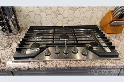 1909 Lotus Lane, Denver, NC 28037 - Photo 6