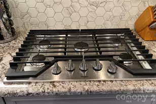 1909 Lotus Ln, Denver, NC 28037 - Photo 6