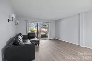 427 6th Ave W, Hendersonville, NC 28739 - Photo 12