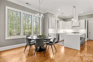 4196 Crepe Ridge Dr, Denver, NC 28037 - Photo 14