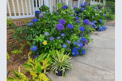 1804 Riva Ridge Court, York, SC 29745 - Photo 34