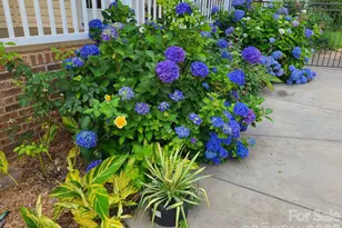 1804 Riva Ridge Ct, York, SC 29745 - Photo 34