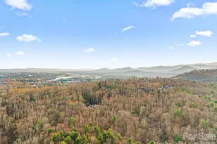 10 Overlook Pl, Asheville, NC 28803 - Photo 44