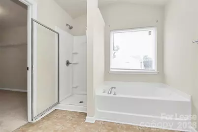 10741 Mountain Springs Drive, Charlotte, NC 28278 - Photo 22