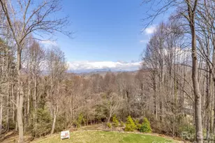 297 Ridge Rd, Waynesville, NC 28786 - Photo 30