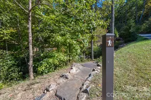 29 Crockett Ridge Rd, Black Mountain, NC 28711 - Photo 48