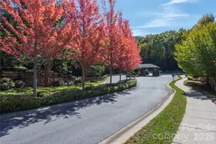 29 Crockett Ridge Rd, Black Mountain, NC 28711 - Photo 46