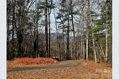 90 Joe Jenkins Road, Fairview, NC 28730 - Photo 4