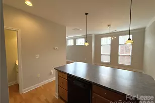 534 Oakland Ave, Charlotte, NC 28204 - Photo 10